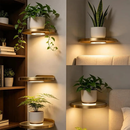 Prateleira Solaris com Iluminação Embutida para Plantas e Decoração