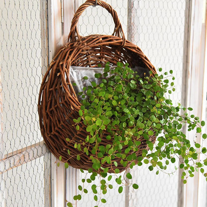 Cesta de Parede em Rattan Natural para Plantas