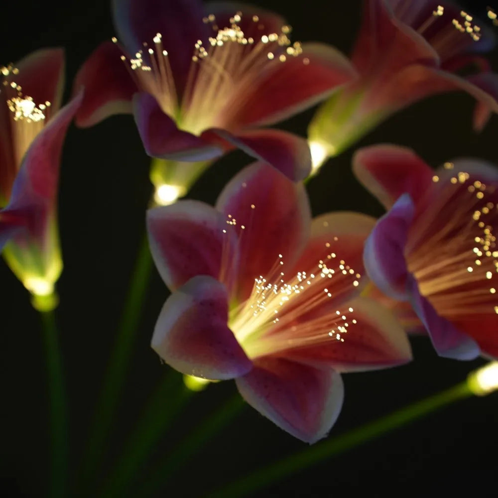 Kit de 6 Luminárias Solar Flor de Lírio com Fibra Óptica LED