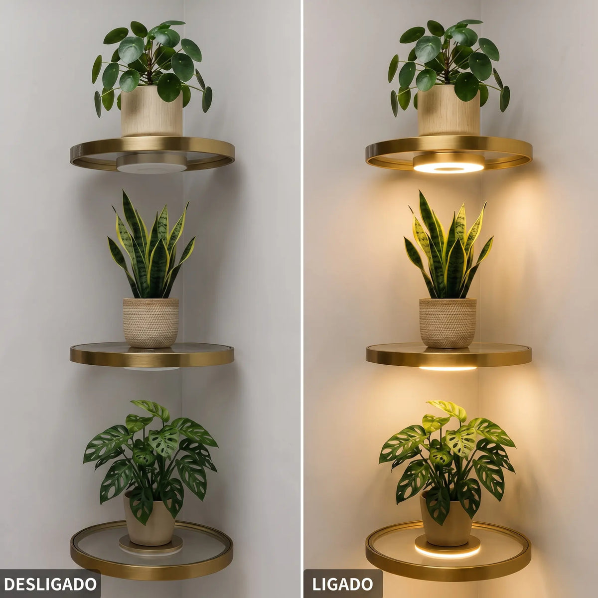 Prateleira Solaris com Iluminação Embutida para Plantas e Decoração