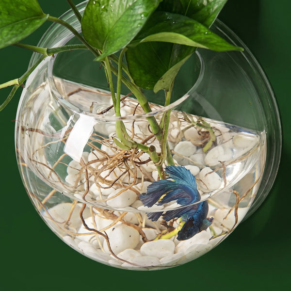 Aquário e Vaso de Plantas Suspenso em Acrílico Transparente